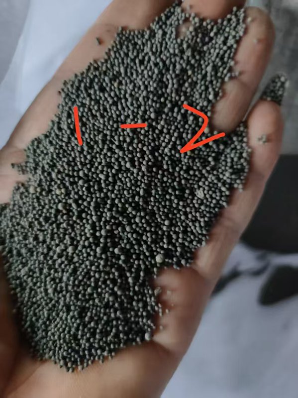生物陶粒